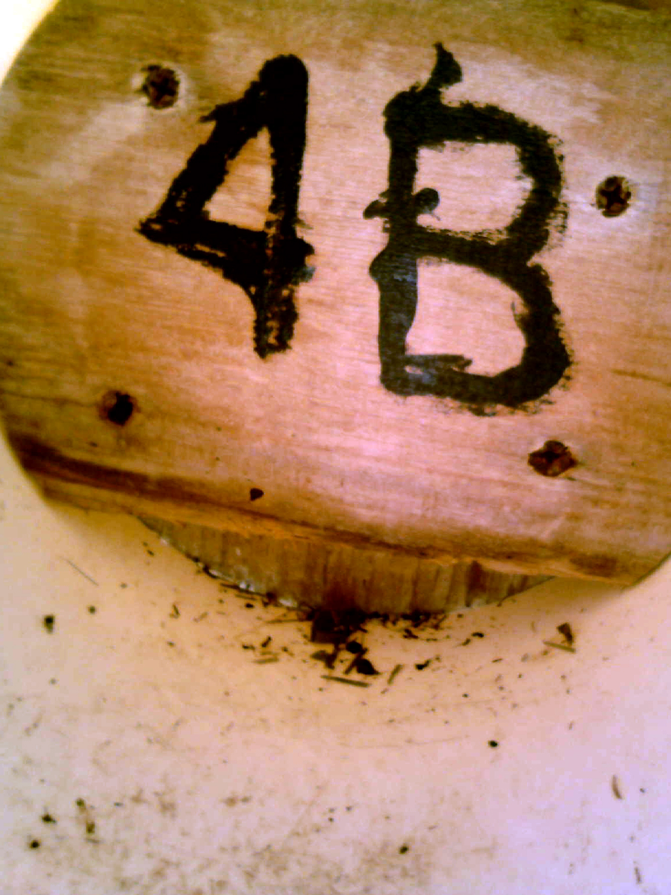 OPAS 4B